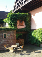 Une terrasse au coeur du vignoble de Colmar