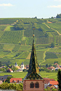 Turckheim et son vignoble